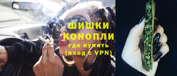 индика Балахна