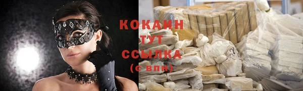 трава Няндома