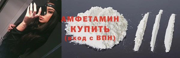 трава Няндома