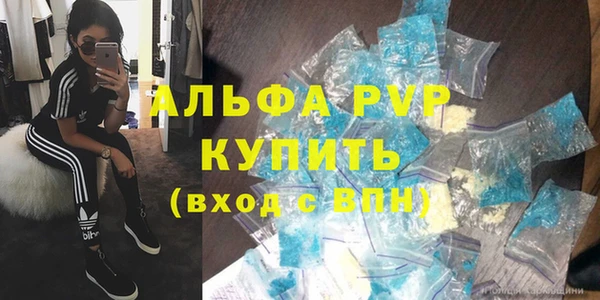 индика Балахна