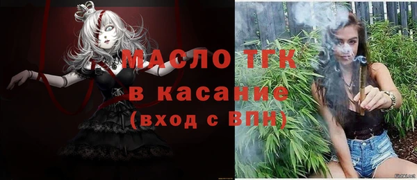 трава Няндома