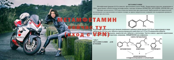 трава Няндома