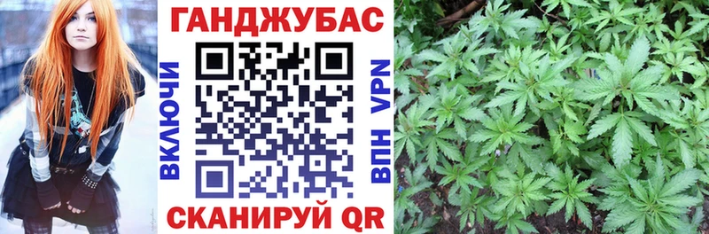 Бошки марихуана индика  купить   Магадан 